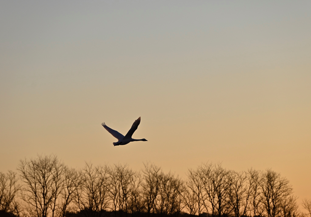 Hero image for An early start: five things to consider at the beginning of the new tax year 