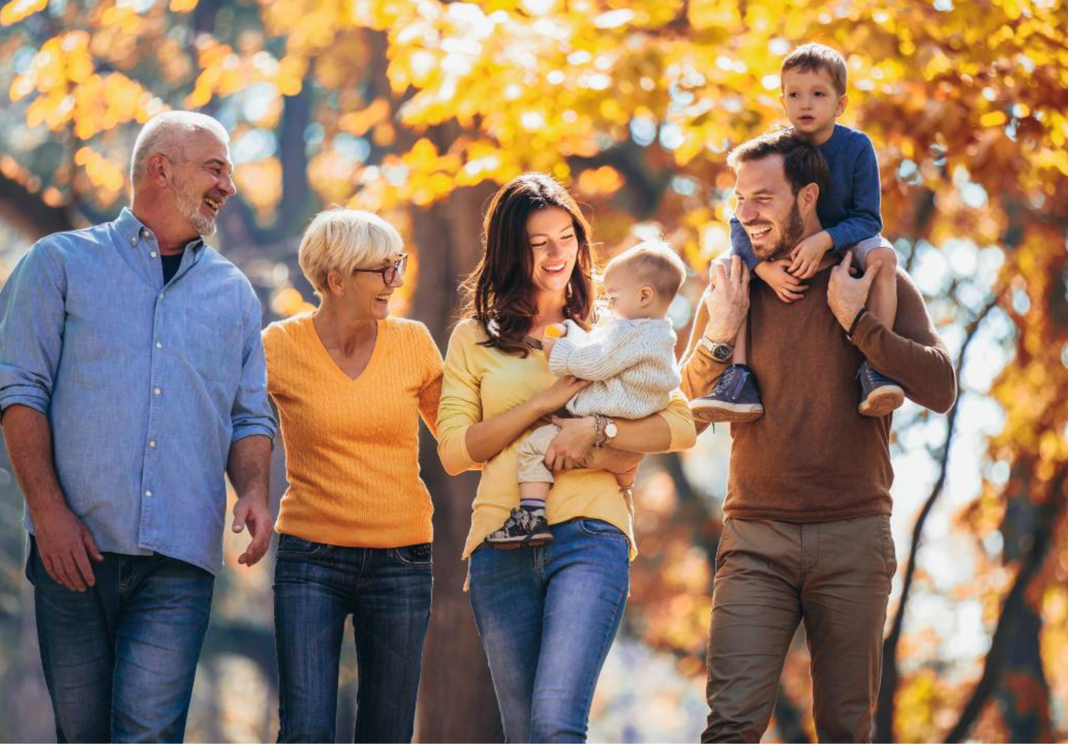 Hero image for Why ISAs Are Central to an Efficient Financial Plan